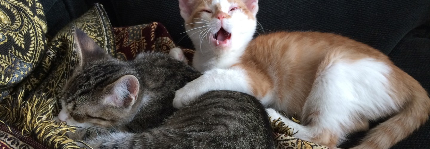 Reilly and Ryan Feb 2014